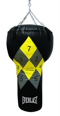 Teddy Atlas Punching Bag System